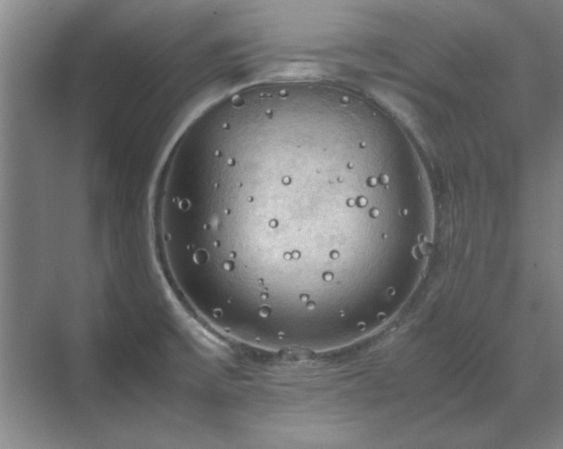 X0000071761475200607071223