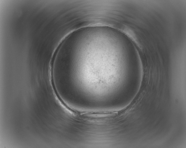 X0000071761476200607071223