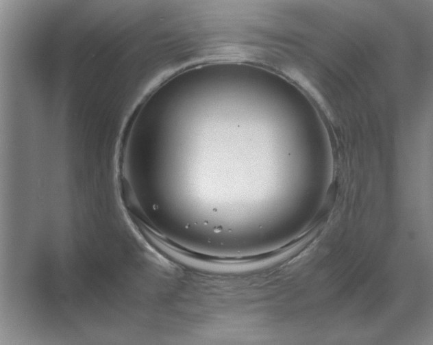 X0000071761477200607071223