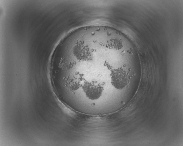 X0000071761478200607071223