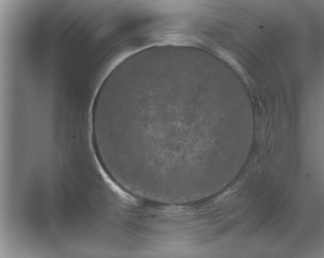 X0000071761479200607071223