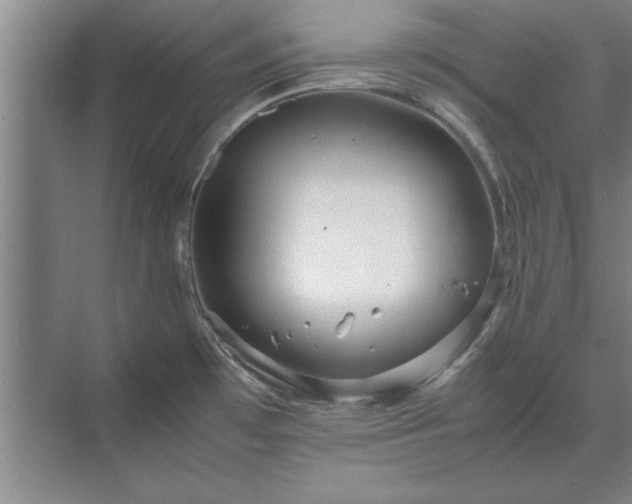 X0000071761481200607071223