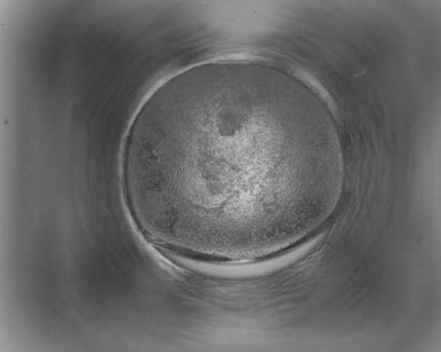 X0000071761483200607071223