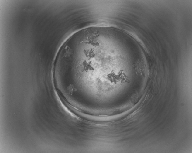 X0000071761484200607071223