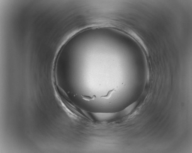 X0000071761485200607071223