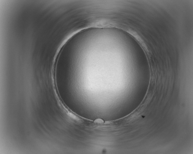 X0000071761486200607071223