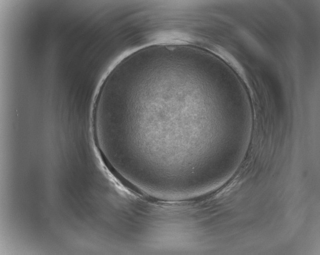 X0000071761488200607071223