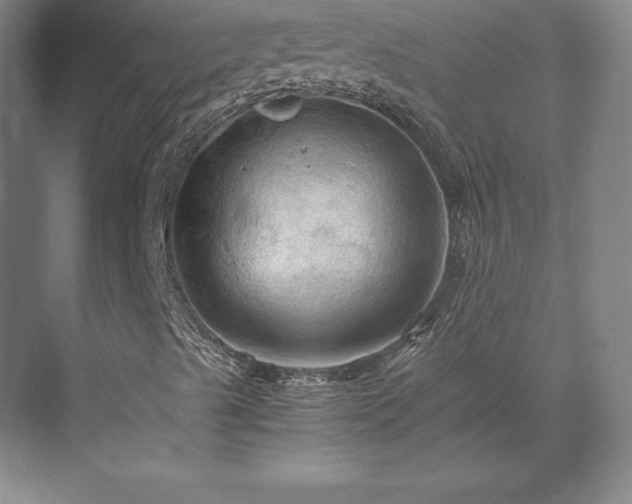 X0000071761489200607071222