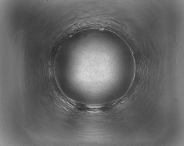 X0000071761490200607071222