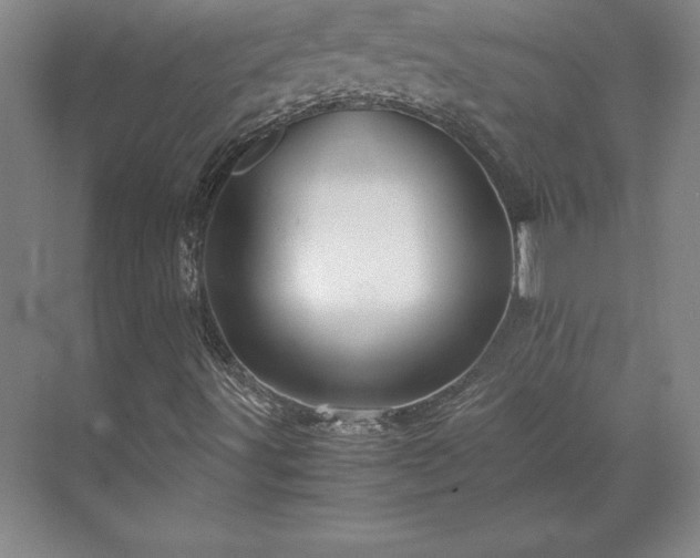 X0000071761491200607071222