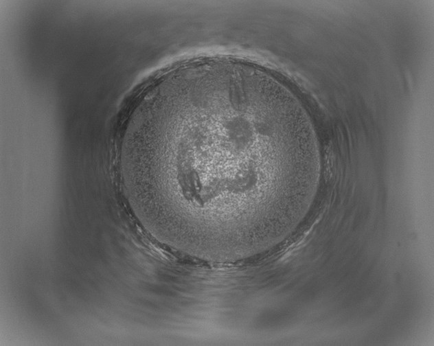 X0000071761494200607071222