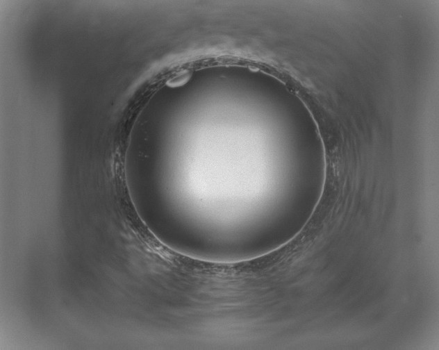 X0000071761495200607071222