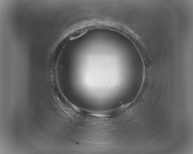 X0000071761496200607071222