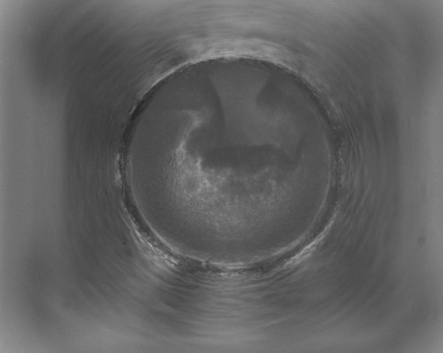 X0000071761497200607071222