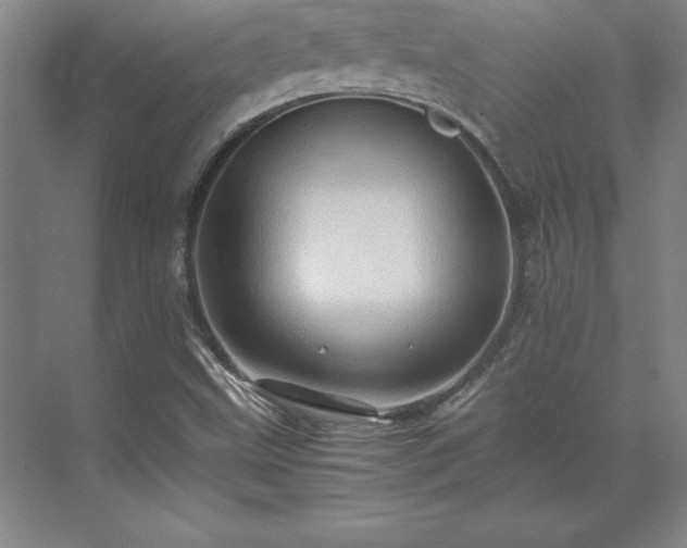 X0000071761499200607071222