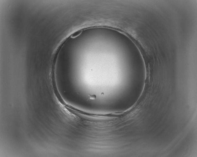 X0000071761500200607071222