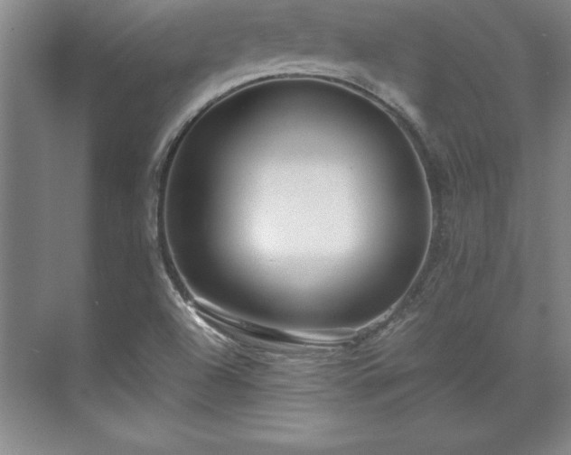 X0000071761504200607071222