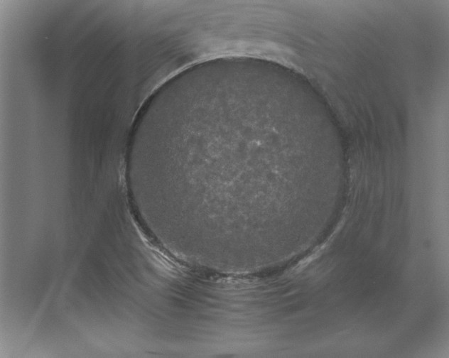 X0000071761505200607071222