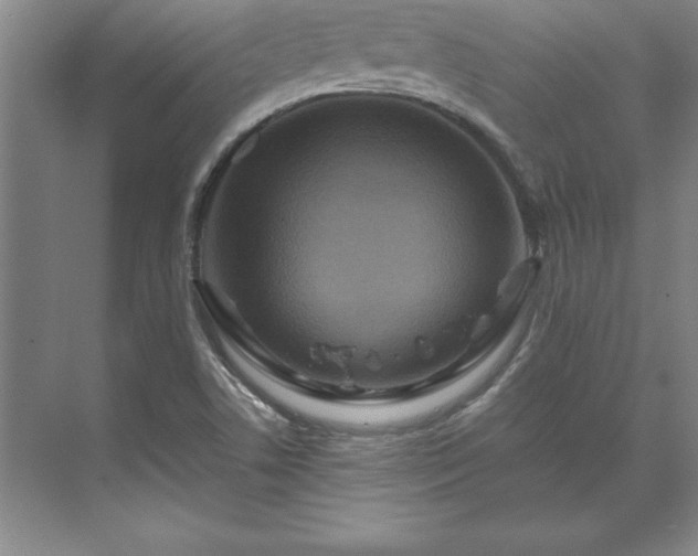 X0000071761506200607071222