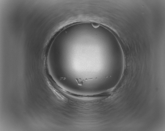 X0000071761507200607071222