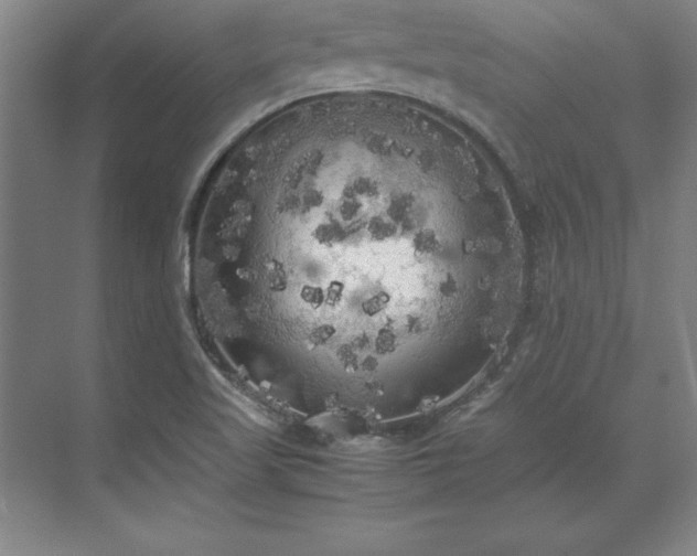 X0000071761509200607071222