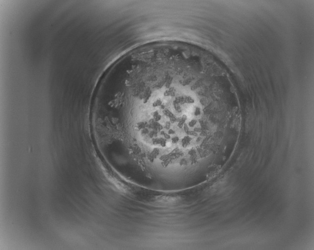 X0000071761513200607071222