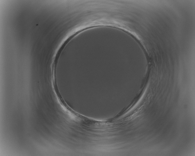 X0000071761515200607071222