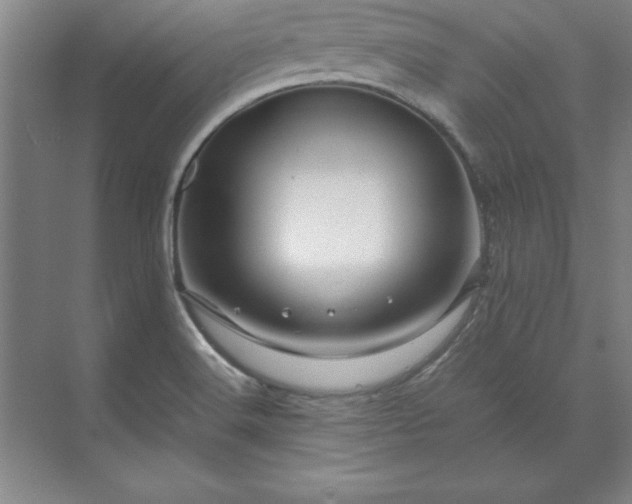 X0000071761516200607071222