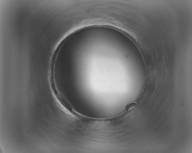 X0000071761518200607071222