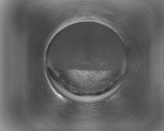 X0000071761519200607071222