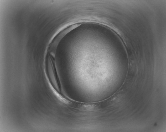 X0000071761523200607071223