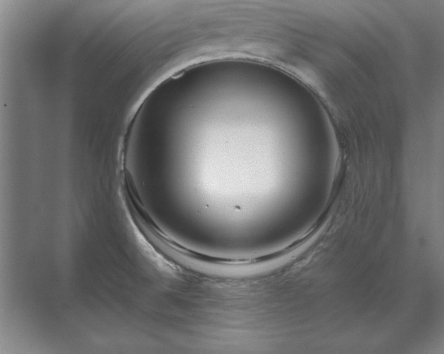 X0000071761524200607071223