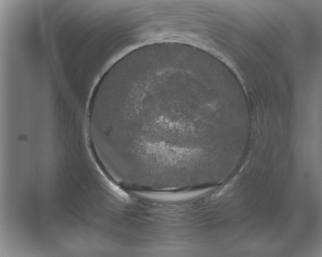 X0000071761525200607071223