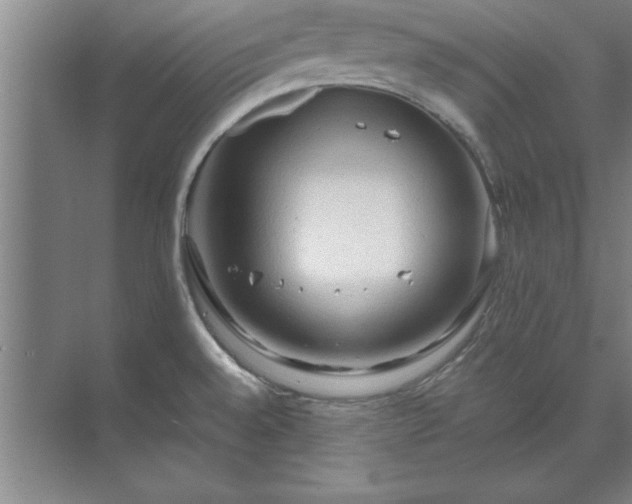 X0000071761528200607071223