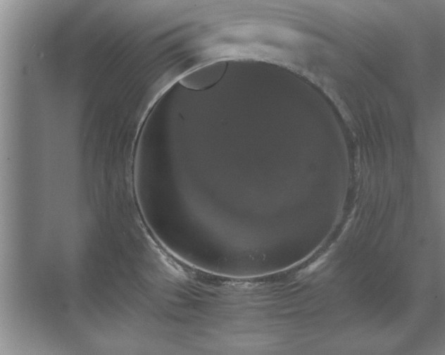 X0000071761529200607071223