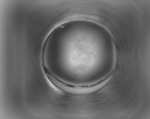 X0000071761531200607071223