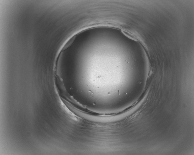 X0000071761532200607071223