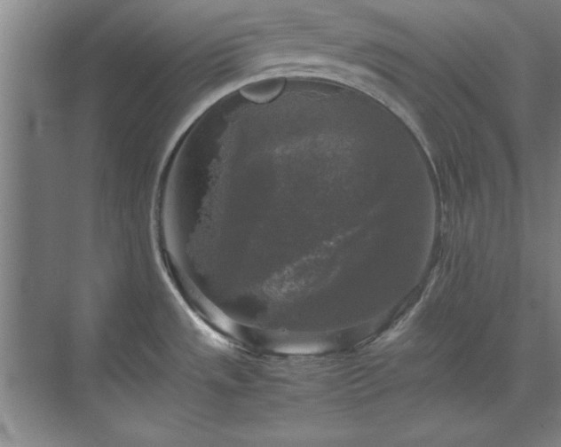 X0000071761533200607071223