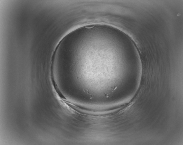 X0000071761534200607071223