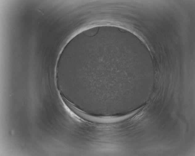 X0000071761535200607071223