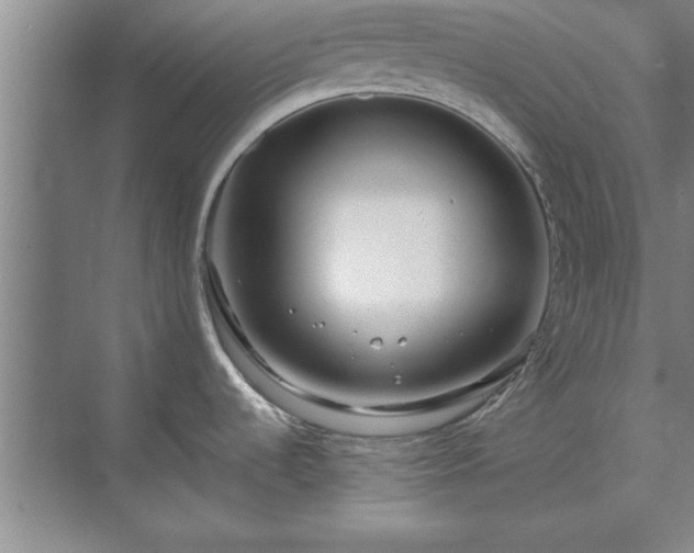 X0000071761536200607071223