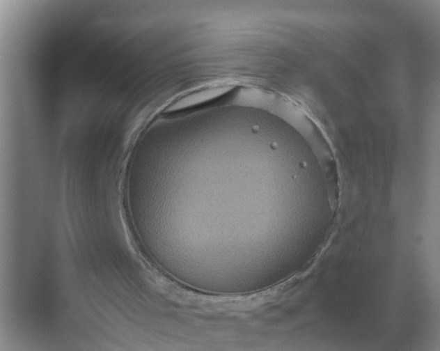 X0000071760001200607150014