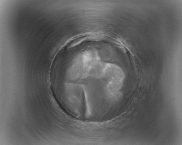 X0000071760002200607150014