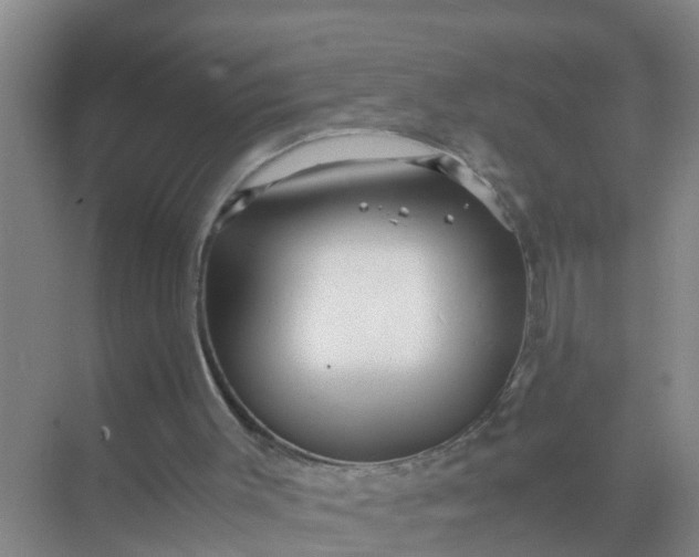 X0000071760003200607150014