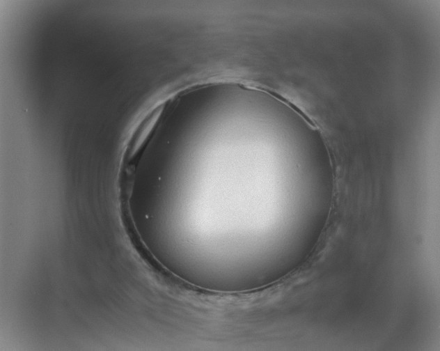 X0000071760007200607150014