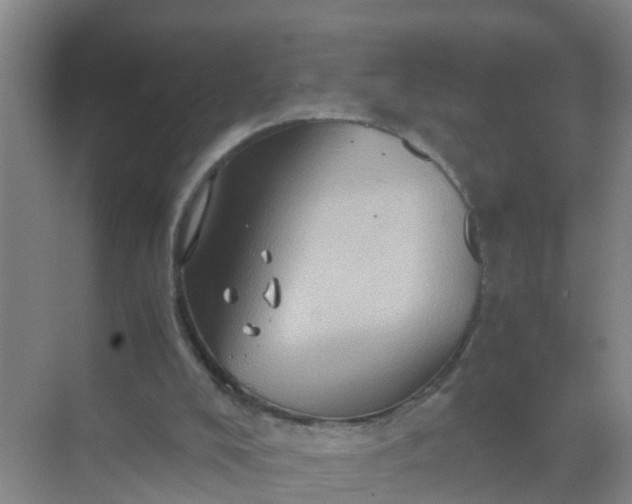 X0000071760008200607150014