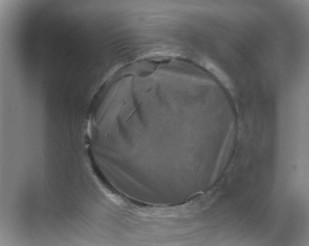 X0000071760009200607150014