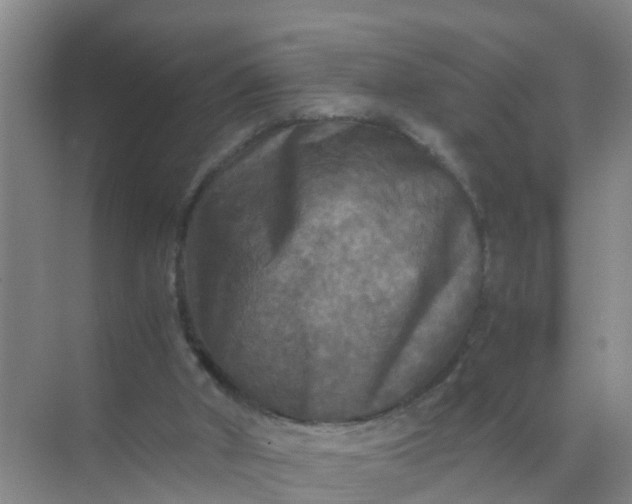 X0000071760010200607150014