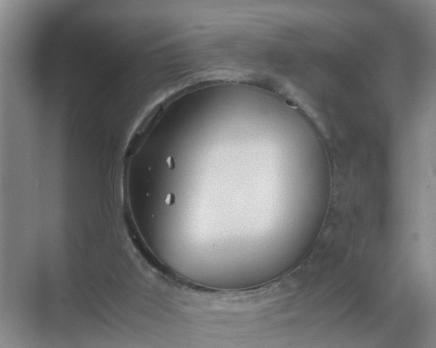 X0000071760011200607150014