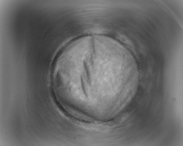 X0000071760012200607150014